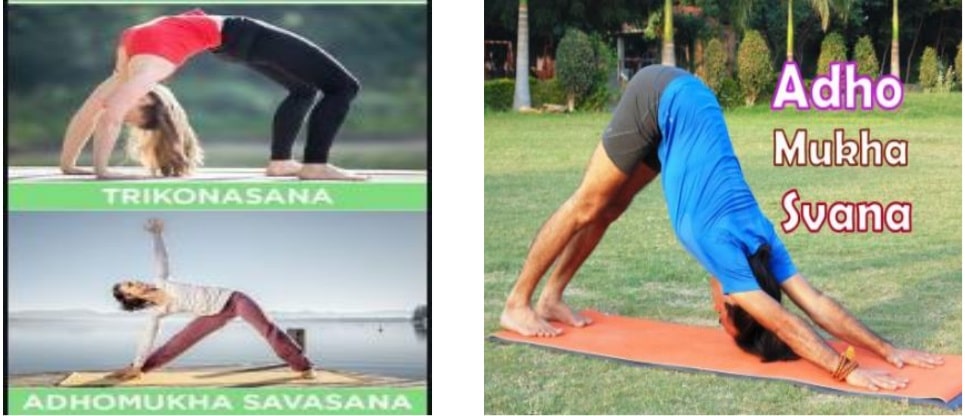 An asana is a body posture, originally and still a general term for a sitting meditation pose, CBSE CAse study 10th Math Board